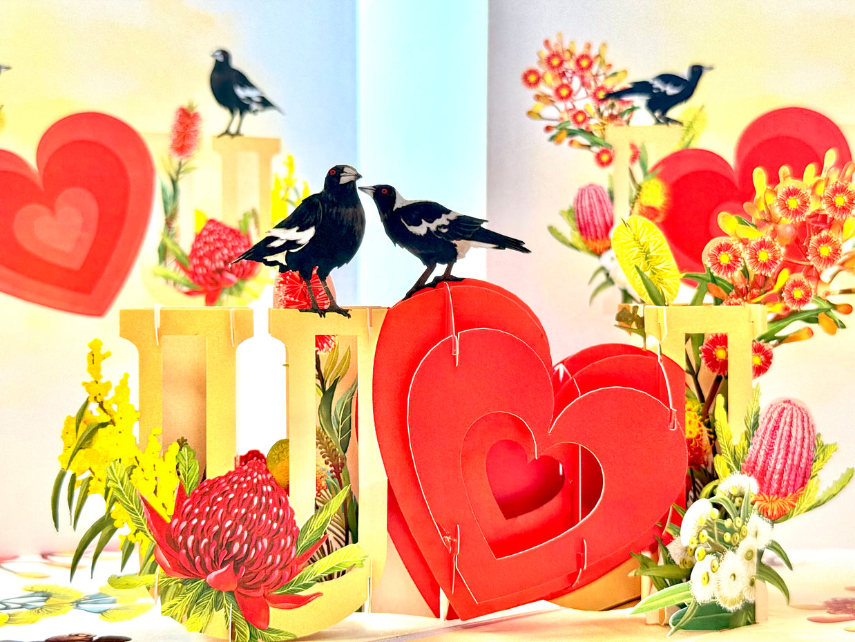 Australian Magpie LOVE Birds with Australian Native Flowers 3D POP UP GREETING CARD - Created by Origami Pop Cards Australian Design & Handmade 3D Pop Up Magical Paper Cards, Handmade Pop Up Cards Happy Valentine's Day Celebrate Heart Fell and Romantic