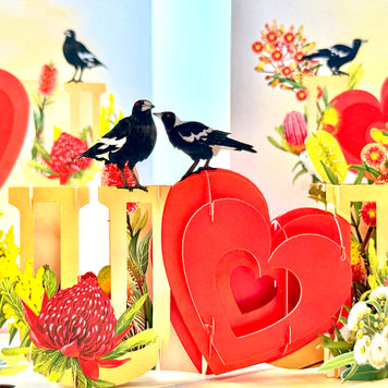 Australian Magpie LOVE Birds with Australian Native Flowers 3D POP UP GREETING CARD - Created by Origami Pop Cards Australian Design & Handmade 3D Pop Up Magical Paper Cards, Handmade Pop Up Cards Happy Valentine's Day Celebrate Heart Fell and Romantic