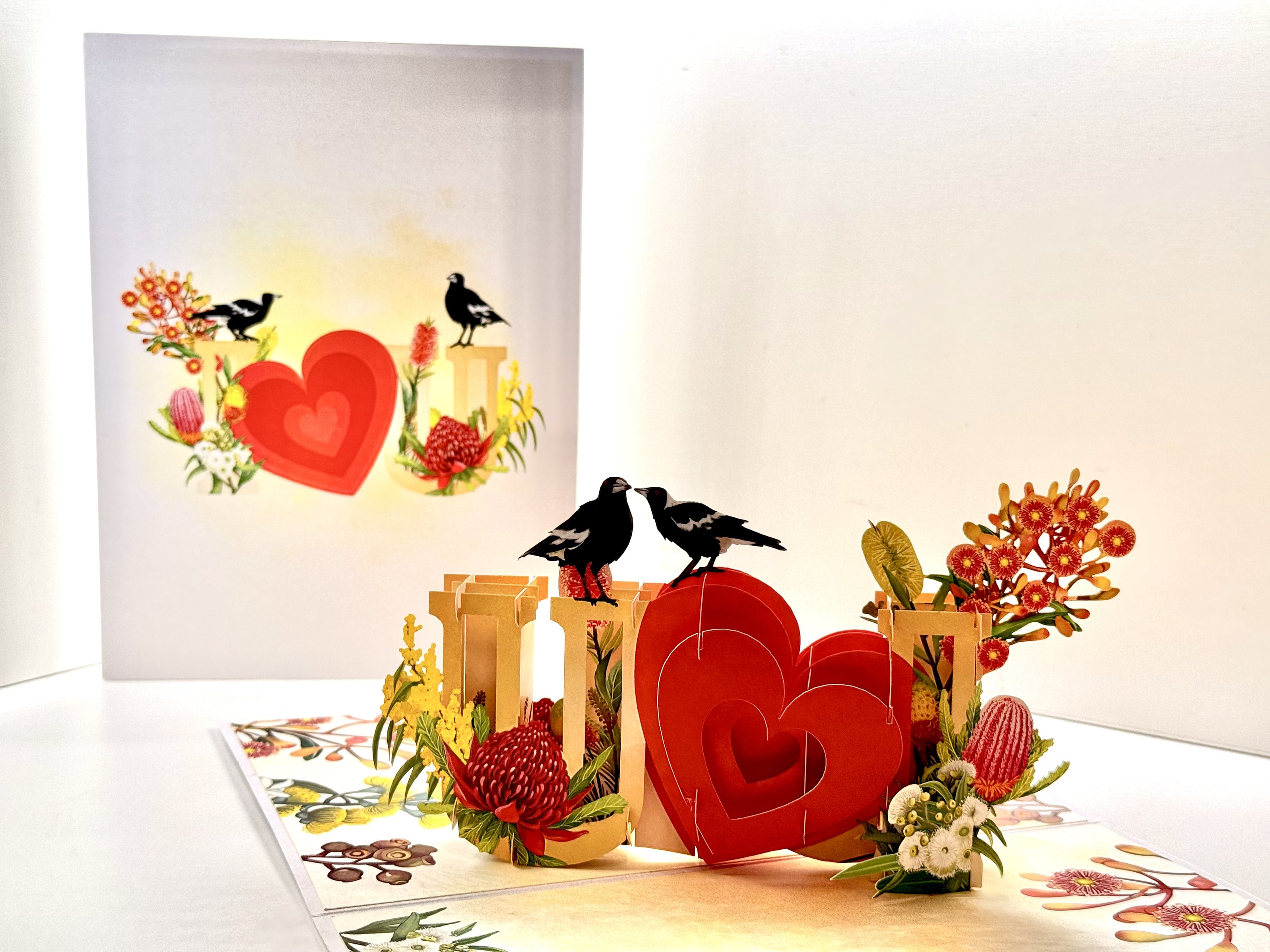 Australian Magpie LOVE Birds with Australian Native Flowers 3D POP UP GREETING CARD - Created by Origami Pop Cards Australian Design & Handmade 3D Pop Up Magical Paper Cards, Handmade Pop Up Cards Happy Valentine's Day Celebrate Heart Fell and Romantic