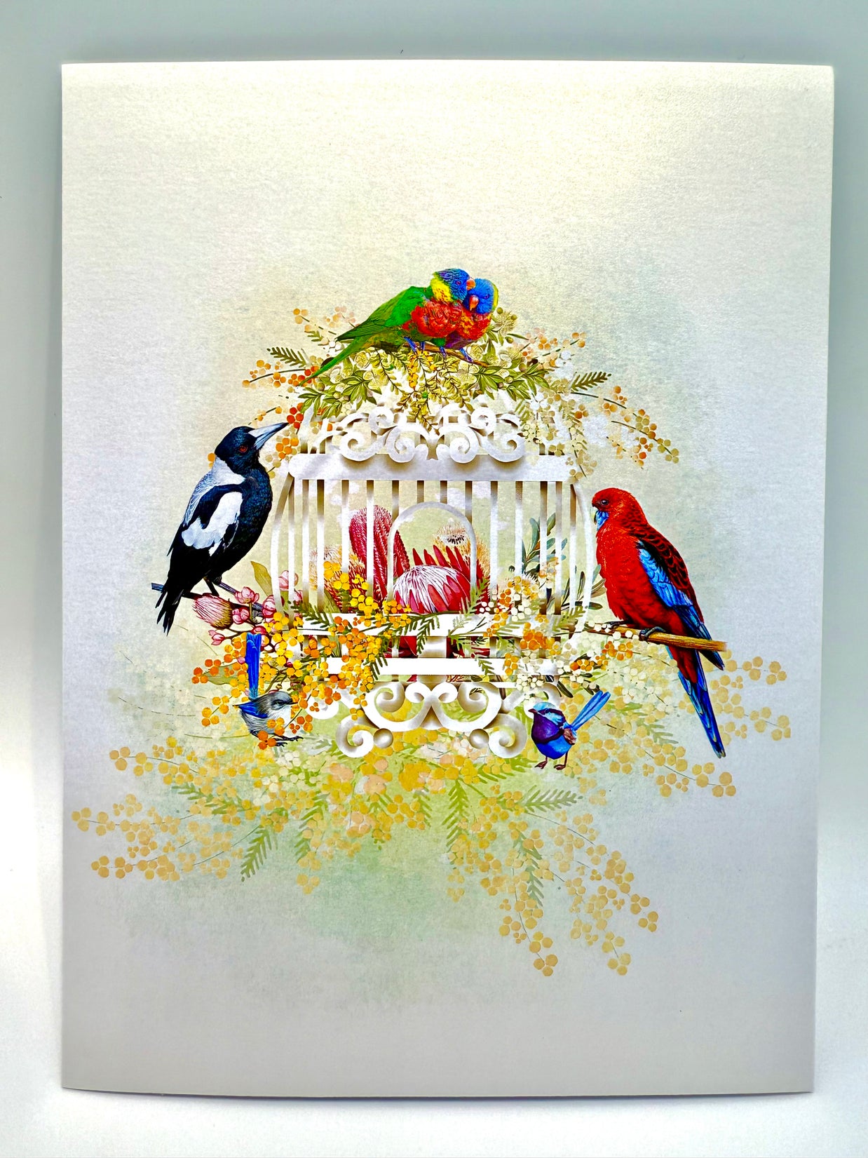 Australian Native Bird Cage with Flowers & Butterflies Origami Pop Cards 3D Pop Up Greeting Card Celebrate Happy Birthday Thank You Handmade Best Wishes Gift Thinking of You Blank Card for Any Occasion Happy Mother's Day Happy Father's Day Australiana