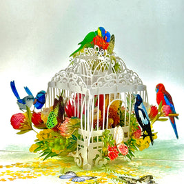 Australian Native Bird Cage with Flowers & Butterflies Origami Pop Cards 3D Pop Up Greeting Card Celebrate Happy Birthday Thank You Handmade Best Wishes Gift Thinking of You Blank Card for Any Occasion Happy Mother's Day Happy Father's Day Australiana