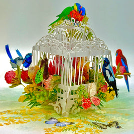 Australian Native Bird Cage with Flowers & Butterflies Origami Pop Cards 3D Pop Up Greeting Card Celebrate Happy Birthday Thank You Handmade Best Wishes Gift Thinking of You Blank Card for Any Occasion Happy Mother's Day Happy Father's Day Australiana