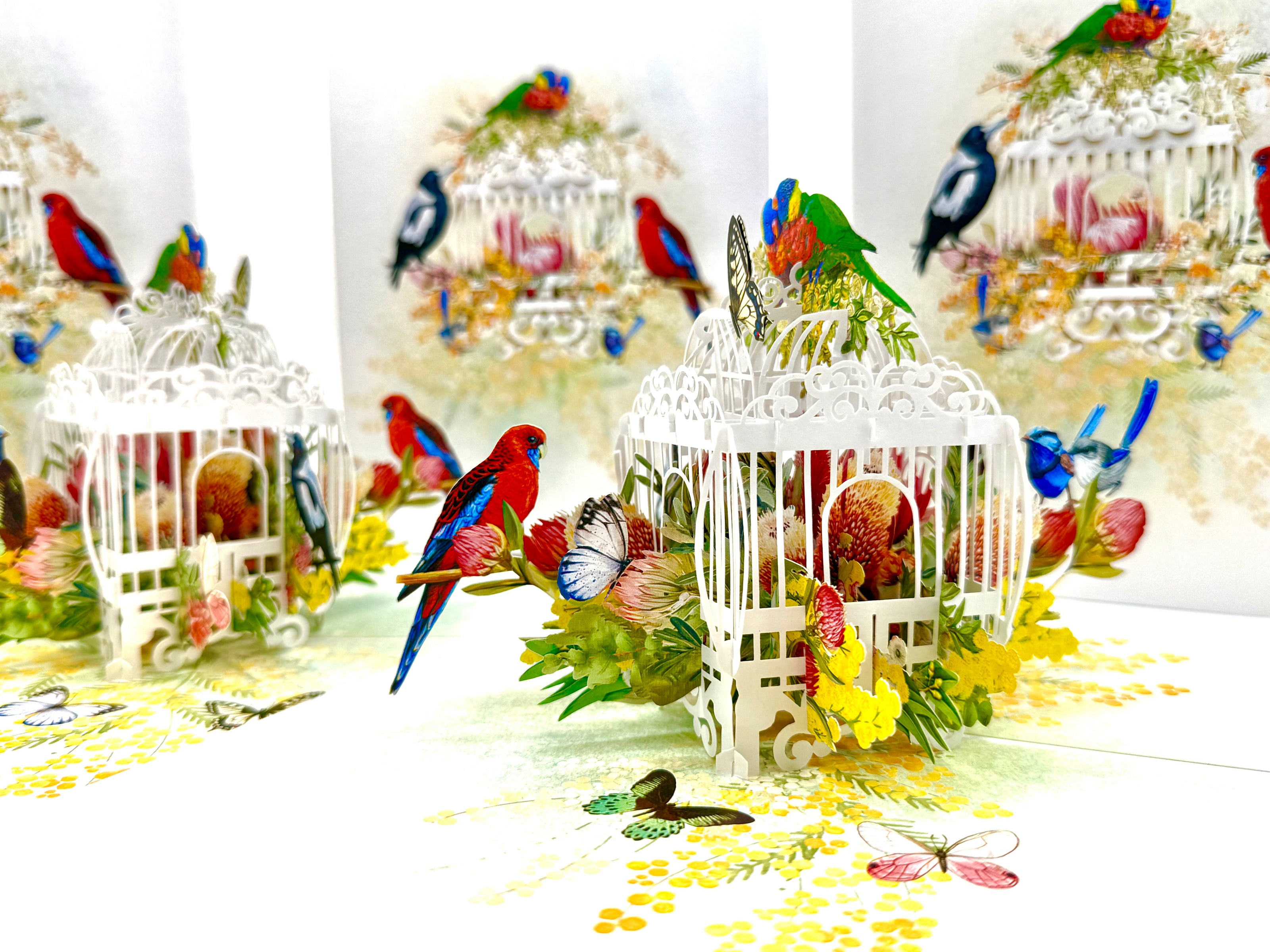 Australian Native Bird Cage with Flowers & Butterflies Origami Pop Cards 3D Pop Up Greeting Card Celebrate Happy Birthday Thank You Handmade Best Wishes Gift Thinking of You Blank Card for Any Occasion Happy Mother's Day Happy Father's Day Australiana