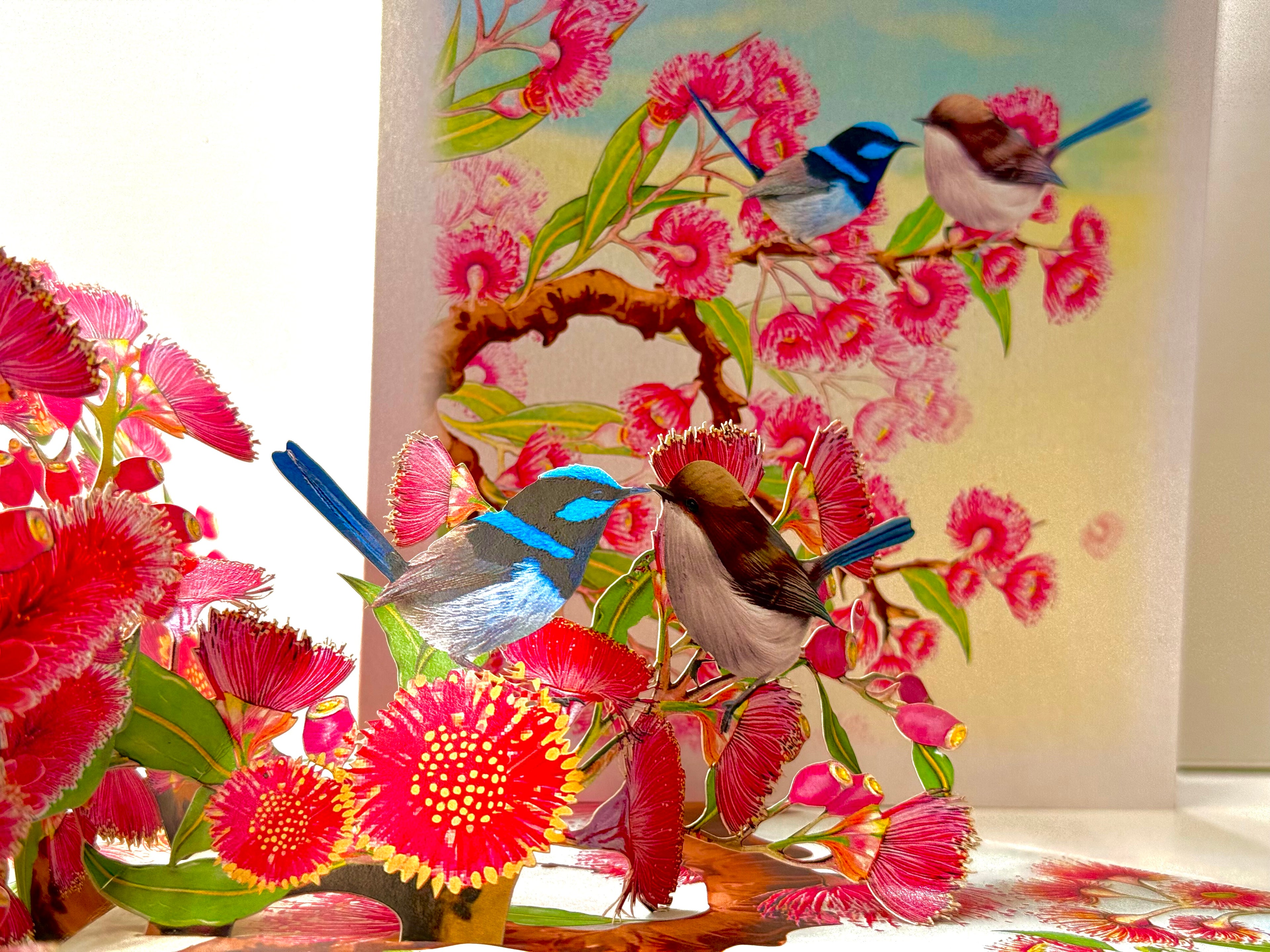 Australian Pink Native Gumnut Blossom Garden with Blue Fairy-Wrens Origami Pop Cards 3D Pop Up Greeting Card Best Wishes Happy Birthday Gift Thank You Handmade Blank Card for Any Occasion Happy Mother's Day Happy Mother's Day Celebrate Beauty of Flower