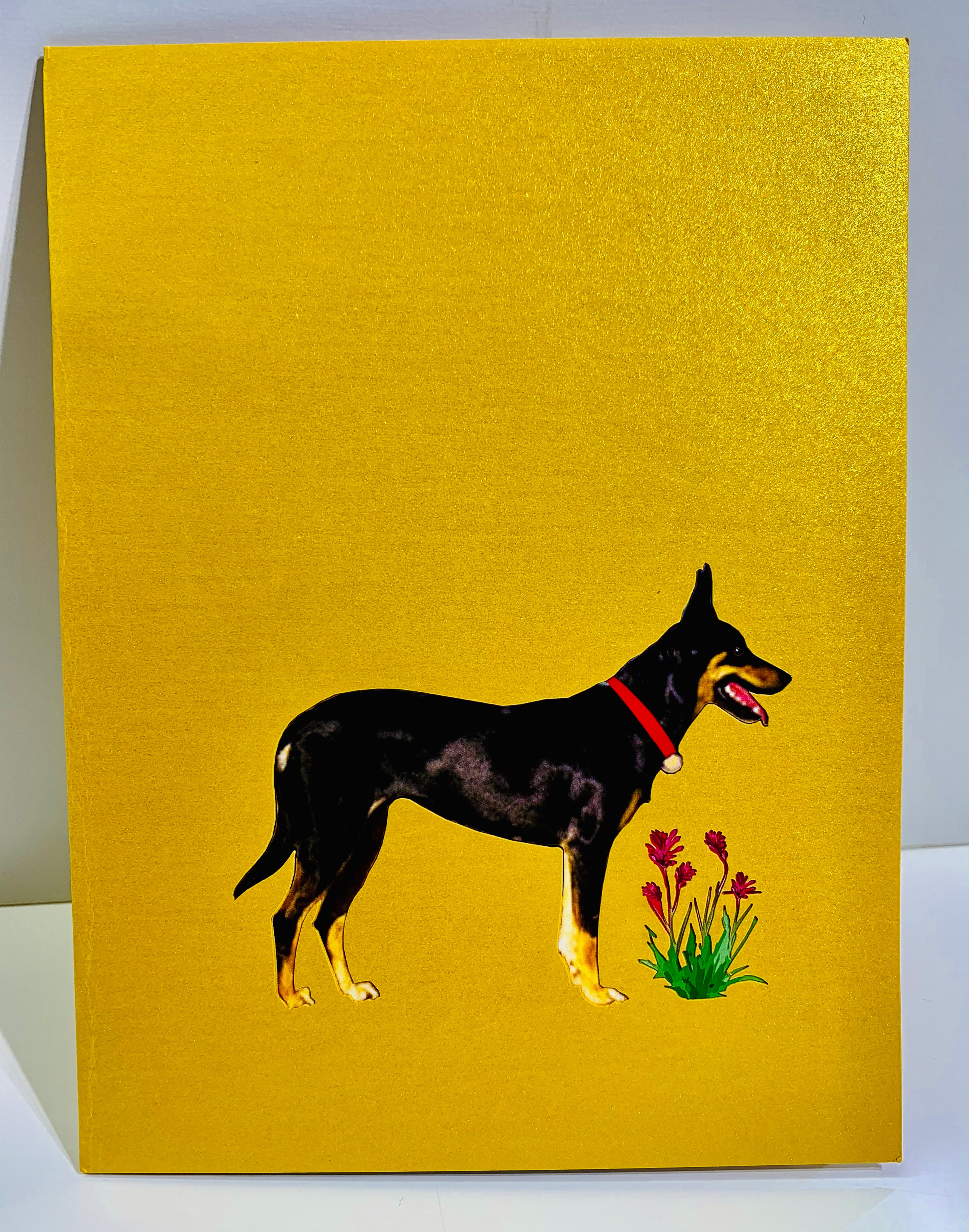 BLACK Australian Kelpie - Great Aussie Working Dog Origami Pop Cards 3D Pop Up Greeting Card Happy Birthday Thank You Handmade Gift Thinking of You Blank Card for Any Occasion Happy Mother's Day Happy Father's Celebrate the Beauty of Animals