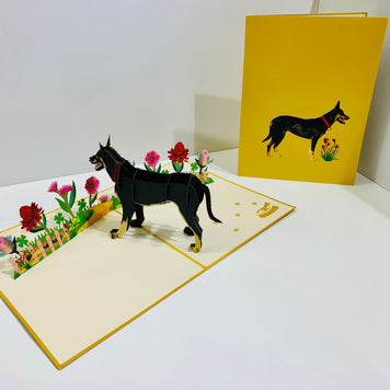 BLACK Australian Kelpie - Great Aussie Working Dog Origami Pop Cards 3D Pop Up Greeting Card Happy Birthday Thank You Handmade Gift Thinking of You Blank Card for Any Occasion Happy Mother's Day Happy Father's Celebrate the Beauty of Animals