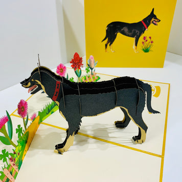 BLACK Australian Kelpie - Great Aussie Working Dog Origami Pop Cards 3D Pop Up Greeting Card Happy Birthday Thank You Handmade Gift Thinking of You Blank Card for Any Occasion Happy Mother's Day Happy Father's Celebrate the Beauty of Animals