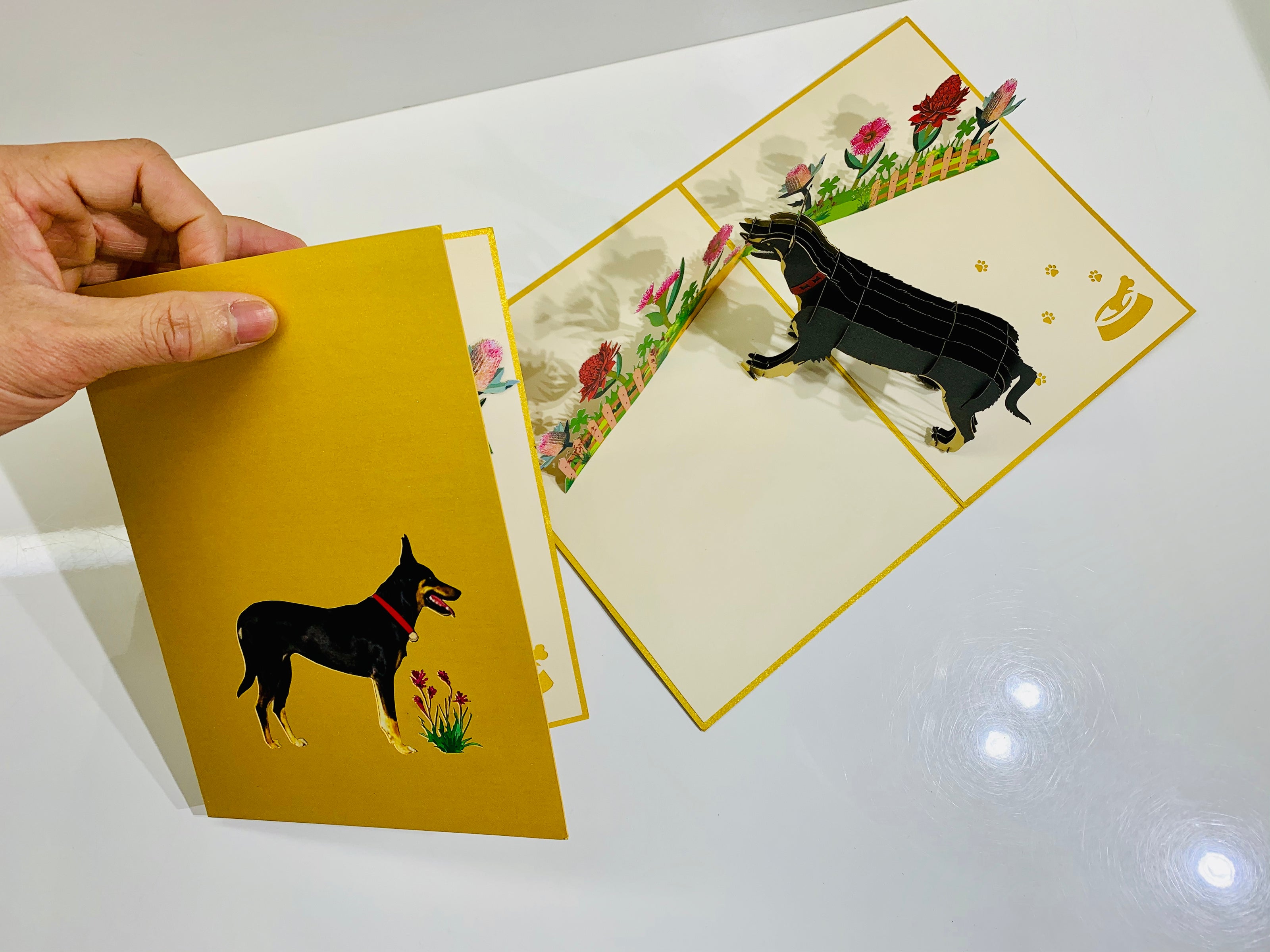 BLACK Australian Kelpie - Great Aussie Working Dog Origami Pop Cards 3D Pop Up Greeting Card Happy Birthday Thank You Handmade Gift Thinking of You Blank Card for Any Occasion Happy Mother's Day Happy Father's Celebrate the Beauty of Animals