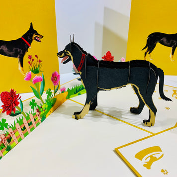 BLACK Australian Kelpie - Great Aussie Working Dog Origami Pop Cards 3D Pop Up Greeting Card Happy Birthday Thank You Handmade Gift Thinking of You Blank Card for Any Occasion Happy Mother's Day Happy Father's Celebrate the Beauty of Animals