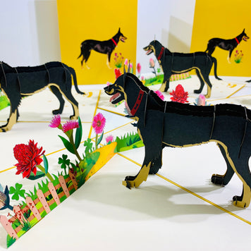 BLACK Australian Kelpie - Great Aussie Working Dog Origami Pop Cards 3D Pop Up Greeting Card Happy Birthday Thank You Handmade Gift Thinking of You Blank Card for Any Occasion Happy Mother's Day Happy Father's Celebrate the Beauty of Animals