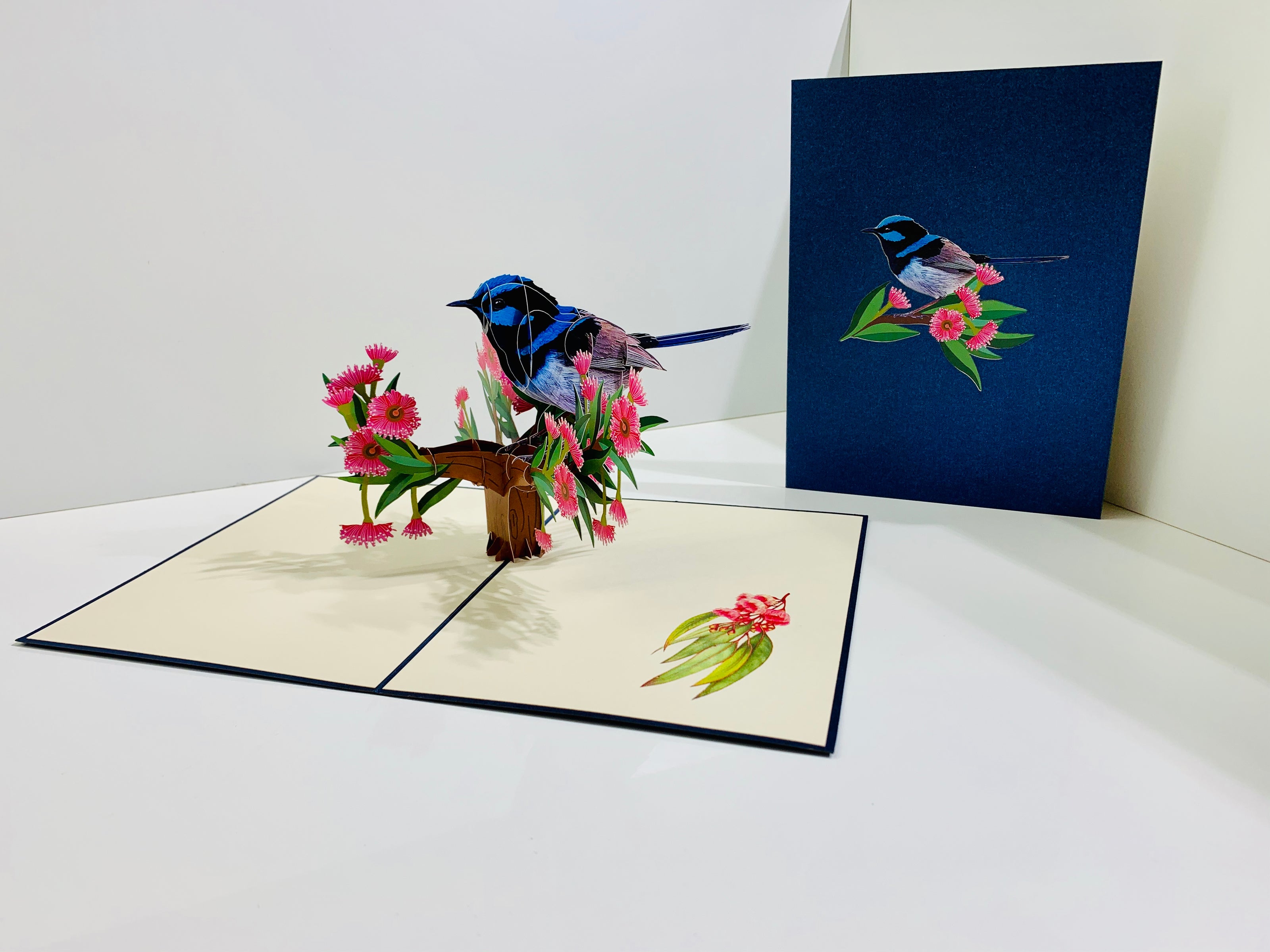 Superb Fairy-Wren or Known as Blue Wren Aussie Bird Origami Pop Cards 3D Pop Up Greeting Card Happy Birthday Thank You Handmade Gift Thinking of You Blank Card for Any Occasion Happy Mother's Day Happy Father's Australiana Birds