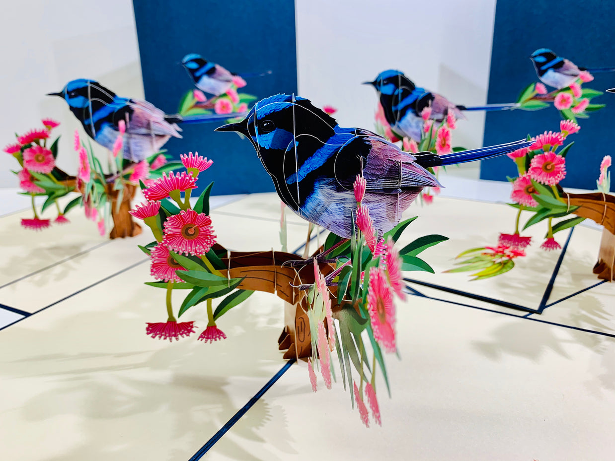 Superb Fairy-Wren or Known as Blue Wren Aussie Bird Origami Pop Cards 3D Pop Up Greeting Card Happy Birthday Thank You Handmade Gift Thinking of You Blank Card for Any Occasion Happy Mother's Day Happy Father's Australiana Birds