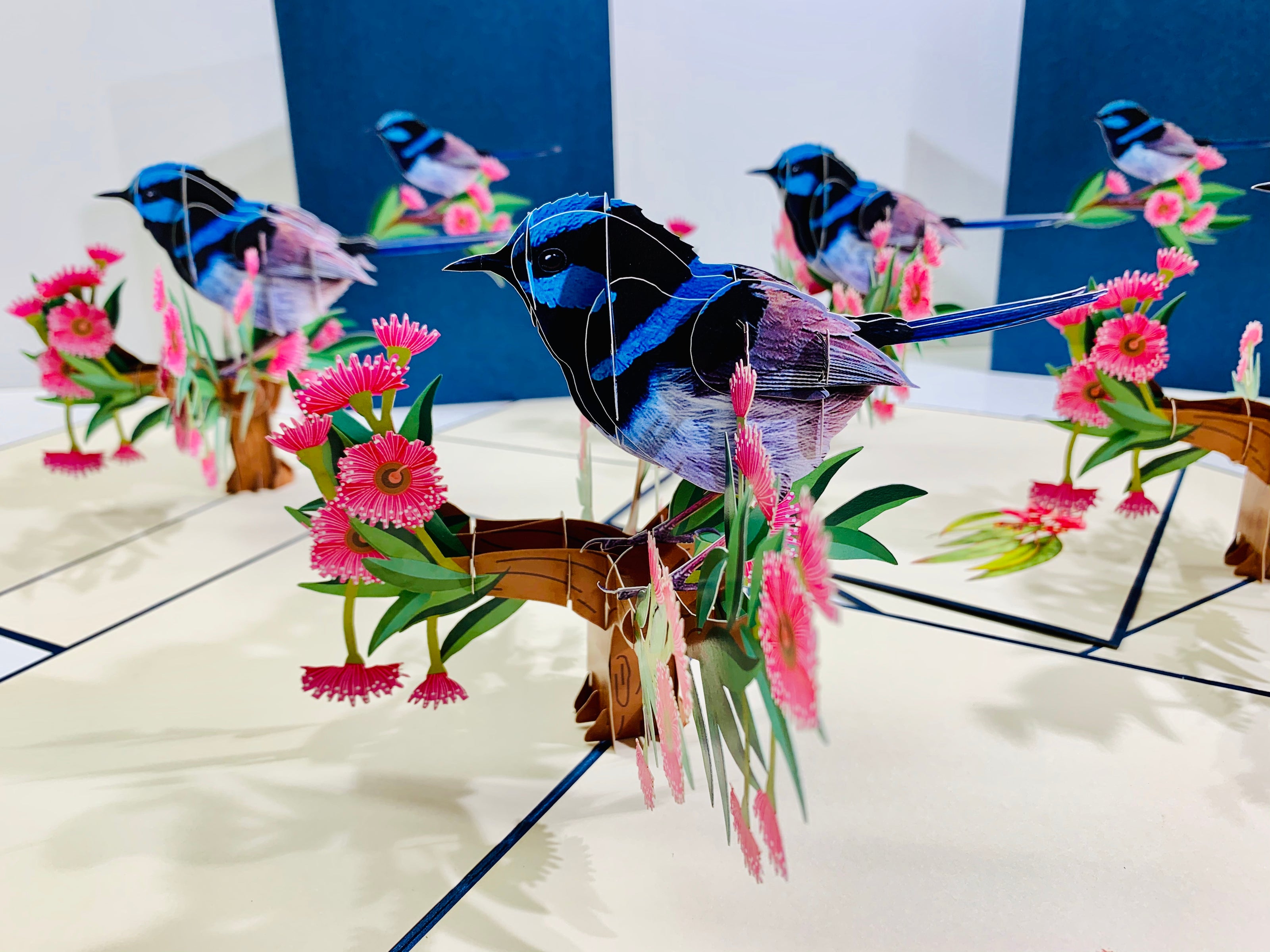 Superb Fairy-Wren or Known as Blue Wren Aussie Bird Origami Pop Cards 3D Pop Up Greeting Card Happy Birthday Thank You Handmade Gift Thinking of You Blank Card for Any Occasion Happy Mother's Day Happy Father's Australiana Birds