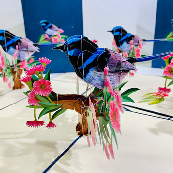 Superb Fairy-Wren or Known as Blue Wren Aussie Bird Origami Pop Cards 3D Pop Up Greeting Card Happy Birthday Thank You Handmade Gift Thinking of You Blank Card for Any Occasion Happy Mother's Day Happy Father's Australiana Birds