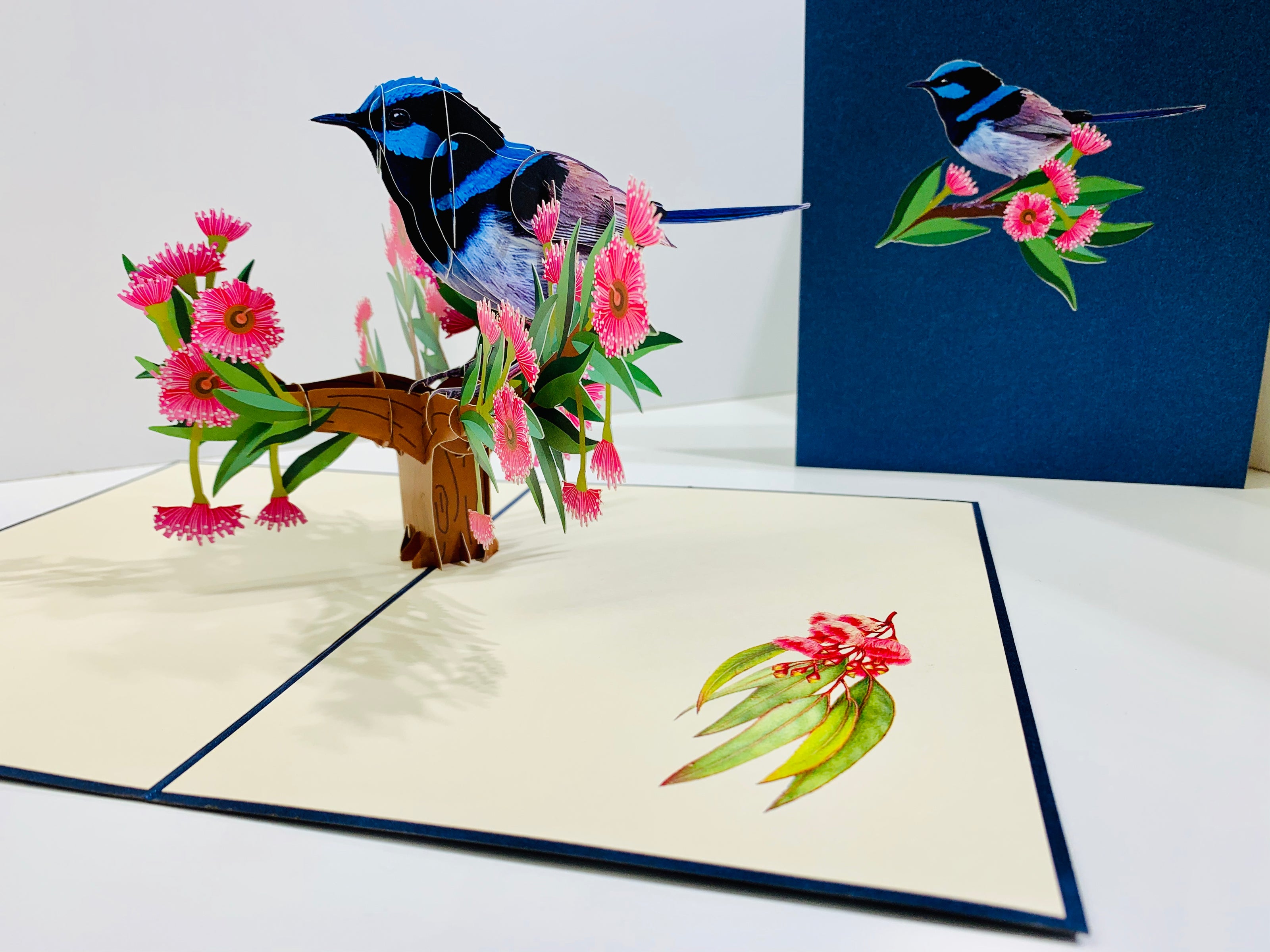 Superb Fairy-Wren or Known as Blue Wren Aussie Bird Origami Pop Cards 3D Pop Up Greeting Card Happy Birthday Thank You Handmade Gift Thinking of You Blank Card for Any Occasion Happy Mother's Day Happy Father's Australiana Birds