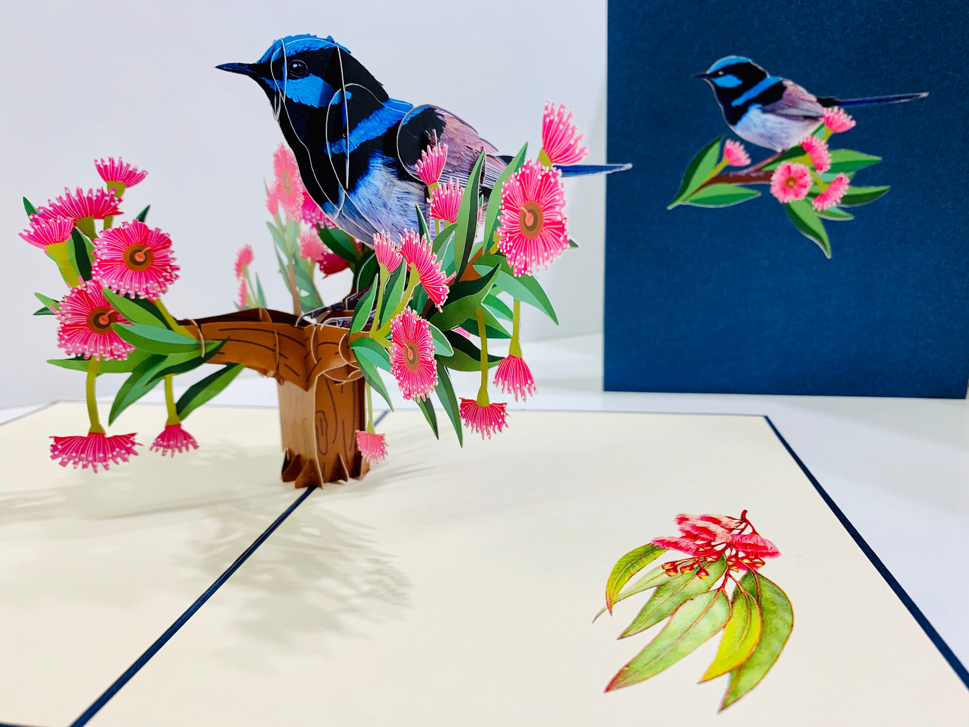 Superb Fairy-Wren or Known as Blue Wren Aussie Bird Origami Pop Cards 3D Pop Up Greeting Card Happy Birthday Thank You Handmade Gift Thinking of You Blank Card for Any Occasion Happy Mother's Day Happy Father's Australiana Birds
