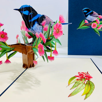 Superb Fairy-Wren or Known as Blue Wren Aussie Bird Origami Pop Cards 3D Pop Up Greeting Card Happy Birthday Thank You Handmade Gift Thinking of You Blank Card for Any Occasion Happy Mother's Day Happy Father's Australiana Birds