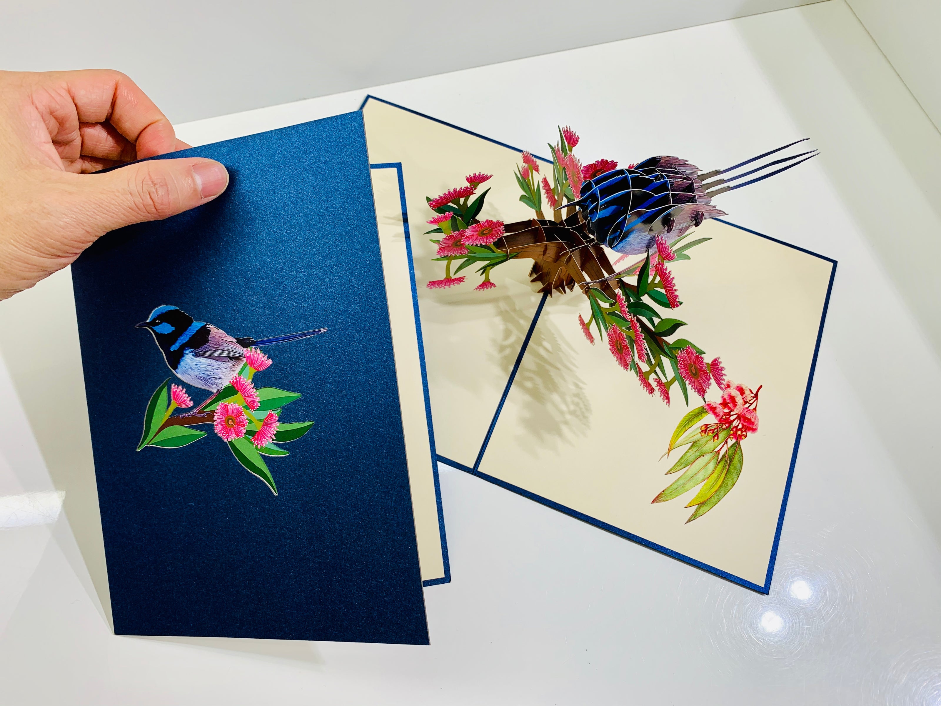 Superb Fairy-Wren or Known as Blue Wren Aussie Bird Origami Pop Cards 3D Pop Up Greeting Card Happy Birthday Thank You Handmade Gift Thinking of You Blank Card for Any Occasion Happy Mother's Day Happy Father's Australiana Birds
