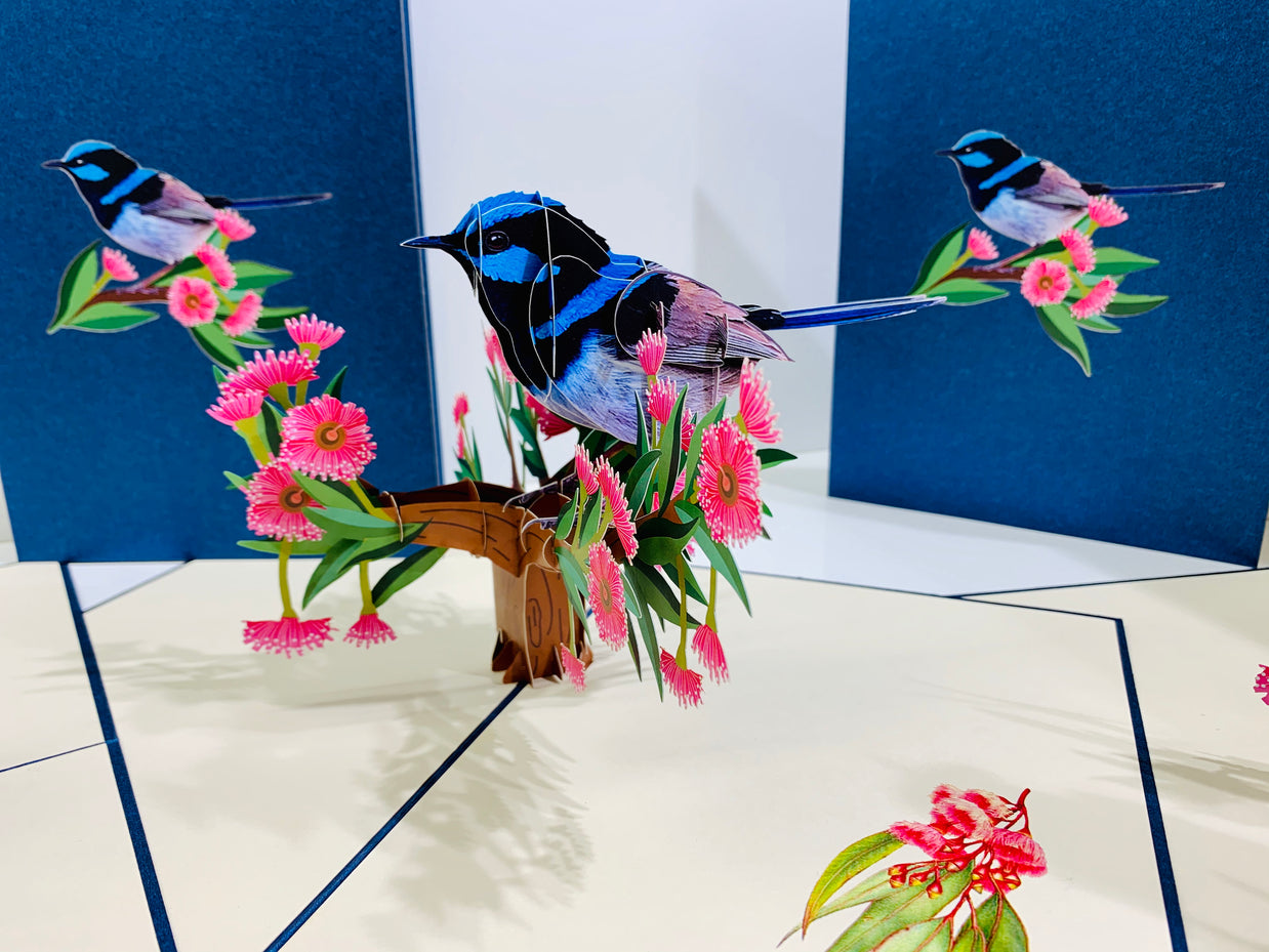 Superb Fairy-Wren or Known as Blue Wren Aussie Bird Origami Pop Cards 3D Pop Up Greeting Card Happy Birthday Thank You Handmade Gift Thinking of You Blank Card for Any Occasion Happy Mother's Day Happy Father's Australiana Birds