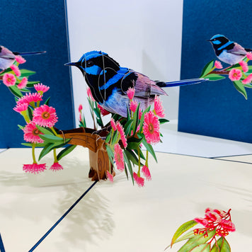 Superb Fairy-Wren or Known as Blue Wren Aussie Bird Origami Pop Cards 3D Pop Up Greeting Card Happy Birthday Thank You Handmade Gift Thinking of You Blank Card for Any Occasion Happy Mother's Day Happy Father's Australiana Birds