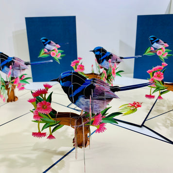 Superb Fairy-Wren or Known as Blue Wren Aussie Bird Origami Pop Cards 3D Pop Up Greeting Card Happy Birthday Thank You Handmade Gift Thinking of You Blank Card for Any Occasion Happy Mother's Day Happy Father's Australiana Birds
