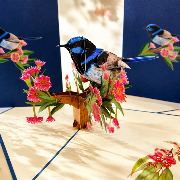 Superb Fairy-Wren or Known as Blue Wren Aussie Bird Origami Pop Cards 3D Pop Up Greeting Card Happy Birthday Thank You Handmade Gift Thinking of You Blank Card for Any Occasion Happy Mother's Day Happy Father's Australiana Birds