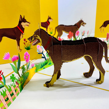 BROWN Australian Kelpie - Great Aussie Working Dog Origami Pop Cards 3D Pop Up Greeting Card Happy Birthday Thank You Handmade Gift Thinking of You Blank Card for Any Occasion Happy Mother's Day Happy Father's Celebrate the Beauty of Animals