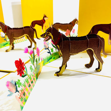 BROWN Australian Kelpie - Great Aussie Working Dog Origami Pop Cards 3D Pop Up Greeting Card Happy Birthday Thank You Handmade Gift Thinking of You Blank Card for Any Occasion Happy Mother's Day Happy Father's Celebrate the Beauty of Animals