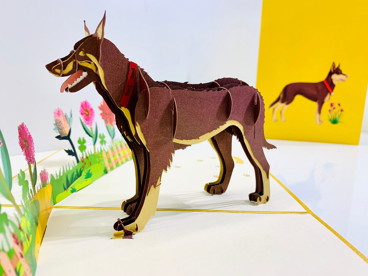 BROWN Australian Kelpie - Great Aussie Working Dog Origami Pop Cards 3D Pop Up Greeting Card Happy Birthday Thank You Handmade Gift Thinking of You Blank Card for Any Occasion Happy Mother's Day Happy Father's Celebrate the Beauty of Animals