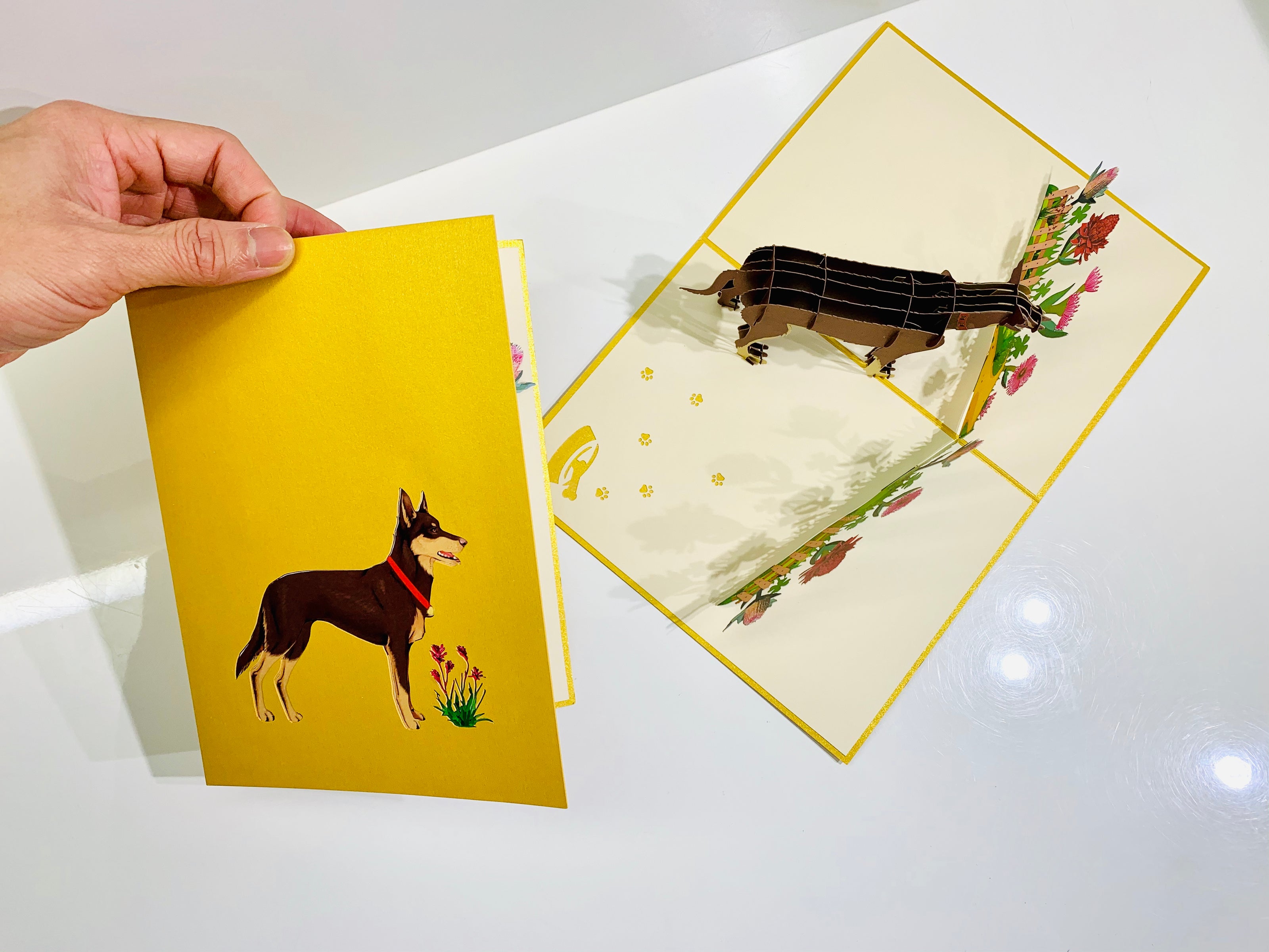 BROWN Australian Kelpie - Great Aussie Working Dog Origami Pop Cards 3D Pop Up Greeting Card Happy Birthday Thank You Handmade Gift Thinking of You Blank Card for Any Occasion Happy Mother's Day Happy Father's Celebrate the Beauty of Animals