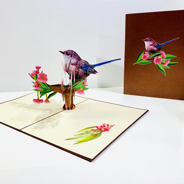 Brown "Jenny Wren" Superb Fairy-Wren or Known as Blue Wren Aussie Bird Origami Pop Cards 3D Pop Up Greeting Card Happy Birthday Thank You Handmade Gift Thinking of You Blank Card for Any Occasion Happy Mother's Day Happy Father's Australiana Birds