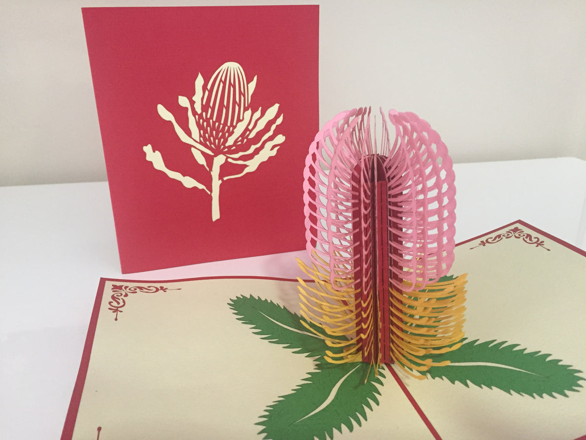 Banksia - Australian Native Flower in Pink Created by Origami Pop Cards – 3D Pop Up Greeting Cards, Australian Design & Handmade, 3D Pop Up Magical Paper Cards Handmade Pop Up Cards Celebrate Anniversary Memorable