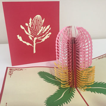 Banksia - Australian Native Flower in Pink Created by Origami Pop Cards – 3D Pop Up Greeting Cards, Australian Design & Handmade, 3D Pop Up Magical Paper Cards Handmade Pop Up Cards Celebrate Anniversary Memorable