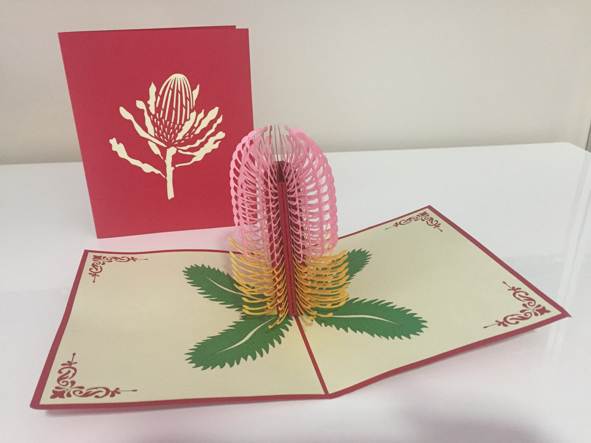 Banksia - Australian Native Flower in Pink Created by Origami Pop Cards – 3D Pop Up Greeting Cards, Australian Design & Handmade, 3D Pop Up Magical Paper Cards Handmade Pop Up Cards Celebrate Anniversary Memorable