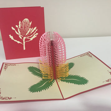 Banksia - Australian Native Flower in Pink Created by Origami Pop Cards – 3D Pop Up Greeting Cards, Australian Design & Handmade, 3D Pop Up Magical Paper Cards Handmade Pop Up Cards Celebrate Anniversary Memorable
