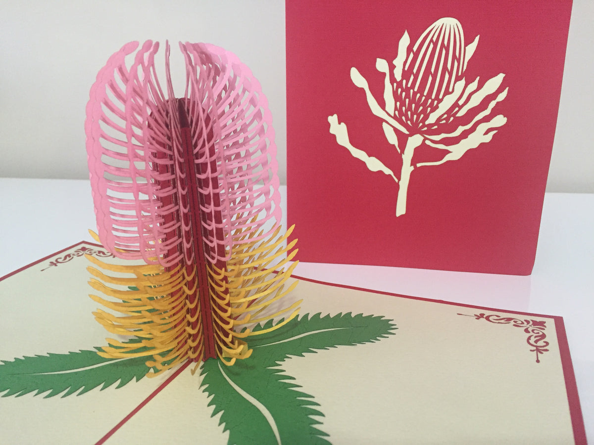 Banksia - Australian Native Flower in Pink Created by Origami Pop Cards – 3D Pop Up Greeting Cards, Australian Design & Handmade, 3D Pop Up Magical Paper Cards Handmade Pop Up Cards Celebrate Anniversary Memorable