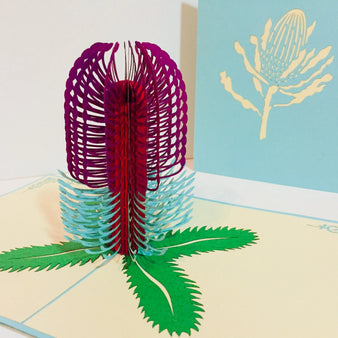 Banksia - Australian Native Flower in Turquoise & Purple Created by Origami Pop Cards – 3D Pop Up Greeting Cards, Australian Design & Handmade, 3D Pop Up Magical Paper Cards Handmade Pop Up Cards Celebrate Anniversary Memorable