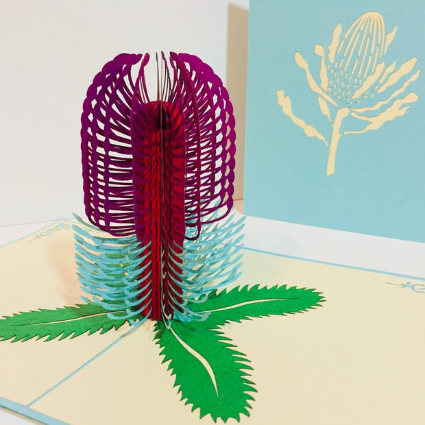 Banksia - Australian Native Flower in Turquoise & Purple Created by Origami Pop Cards – 3D Pop Up Greeting Cards, Australian Design & Handmade, 3D Pop Up Magical Paper Cards Handmade Pop Up Cards Celebrate Anniversary Memorable