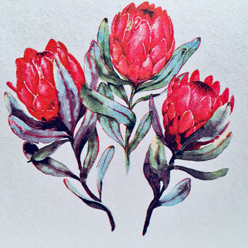 Banksia Bouquet Wrapped in Pink Ribbon Origami Pop Cards 3D Pop Up Greeting Card Happy Birthday Thank You Handmade Gift Thinking of You Blank Card for Any Occasion Happy Mother's Day Happy Valentine's Australiana Celebrate the Beauty and Romantic