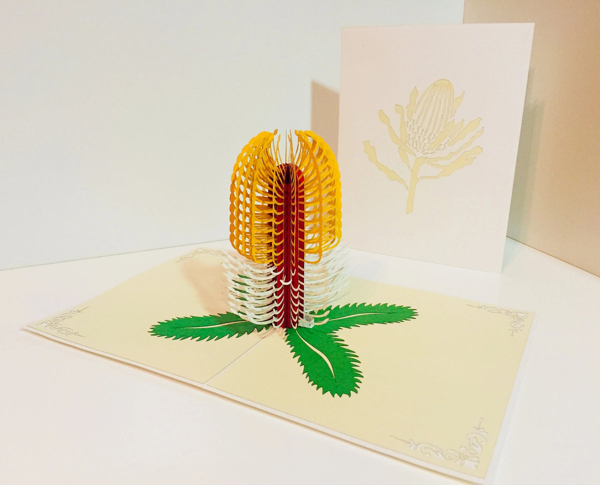 Banksia Card- Australian Native Flower in White & Yellow Created by Origami Pop Cards – 3D Pop Up Greeting Cards, Australian Design & Handmade, 3D Pop Up Magical Paper Cards Handmade Pop Up Cards Celebrate Anniversary Memorable