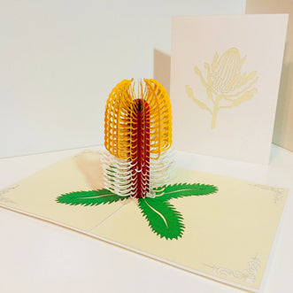 Banksia Card- Australian Native Flower in White & Yellow Created by Origami Pop Cards – 3D Pop Up Greeting Cards, Australian Design & Handmade, 3D Pop Up Magical Paper Cards Handmade Pop Up Cards Celebrate Anniversary Memorable