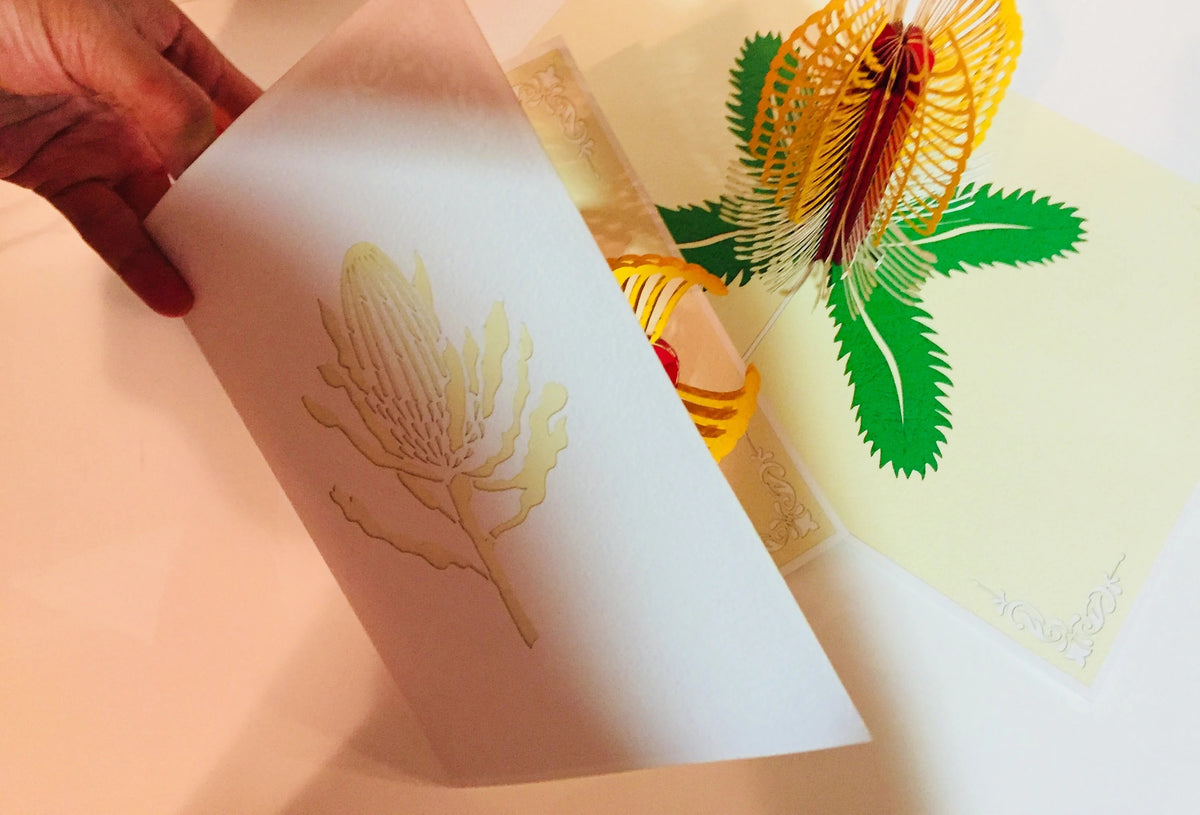 Banksia Card- Australian Native Flower in White & Yellow Created by Origami Pop Cards – 3D Pop Up Greeting Cards, Australian Design & Handmade, 3D Pop Up Magical Paper Cards Handmade Pop Up Cards Celebrate Anniversary Memorable