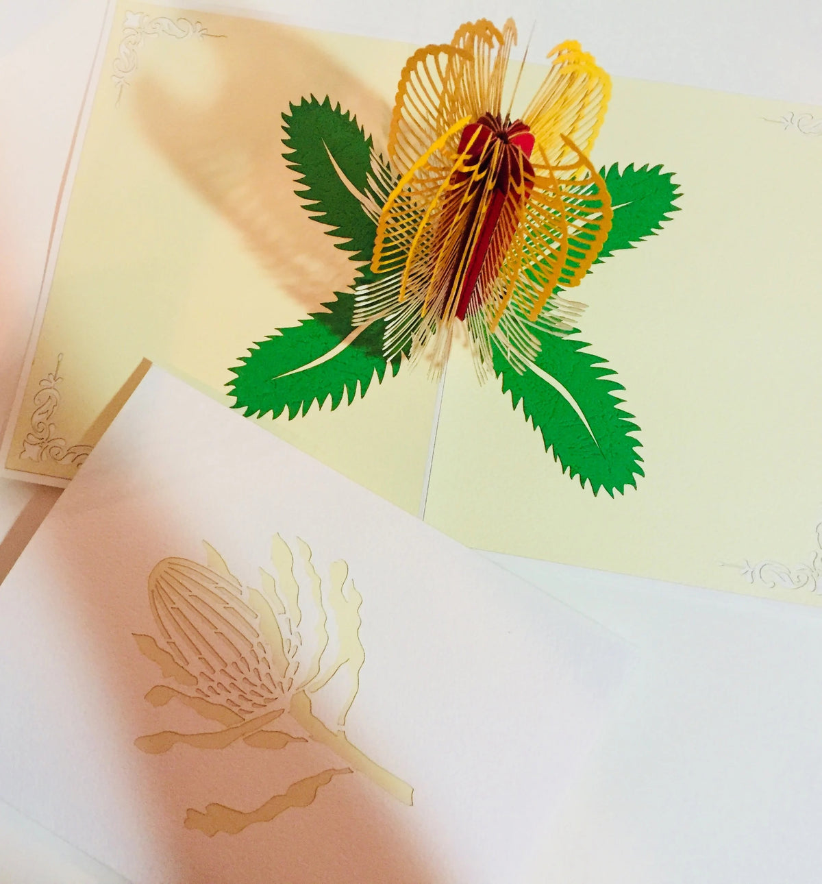 Banksia Card- Australian Native Flower in White & Yellow Created by Origami Pop Cards – 3D Pop Up Greeting Cards, Australian Design & Handmade, 3D Pop Up Magical Paper Cards Handmade Pop Up Cards Celebrate Anniversary Memorable
