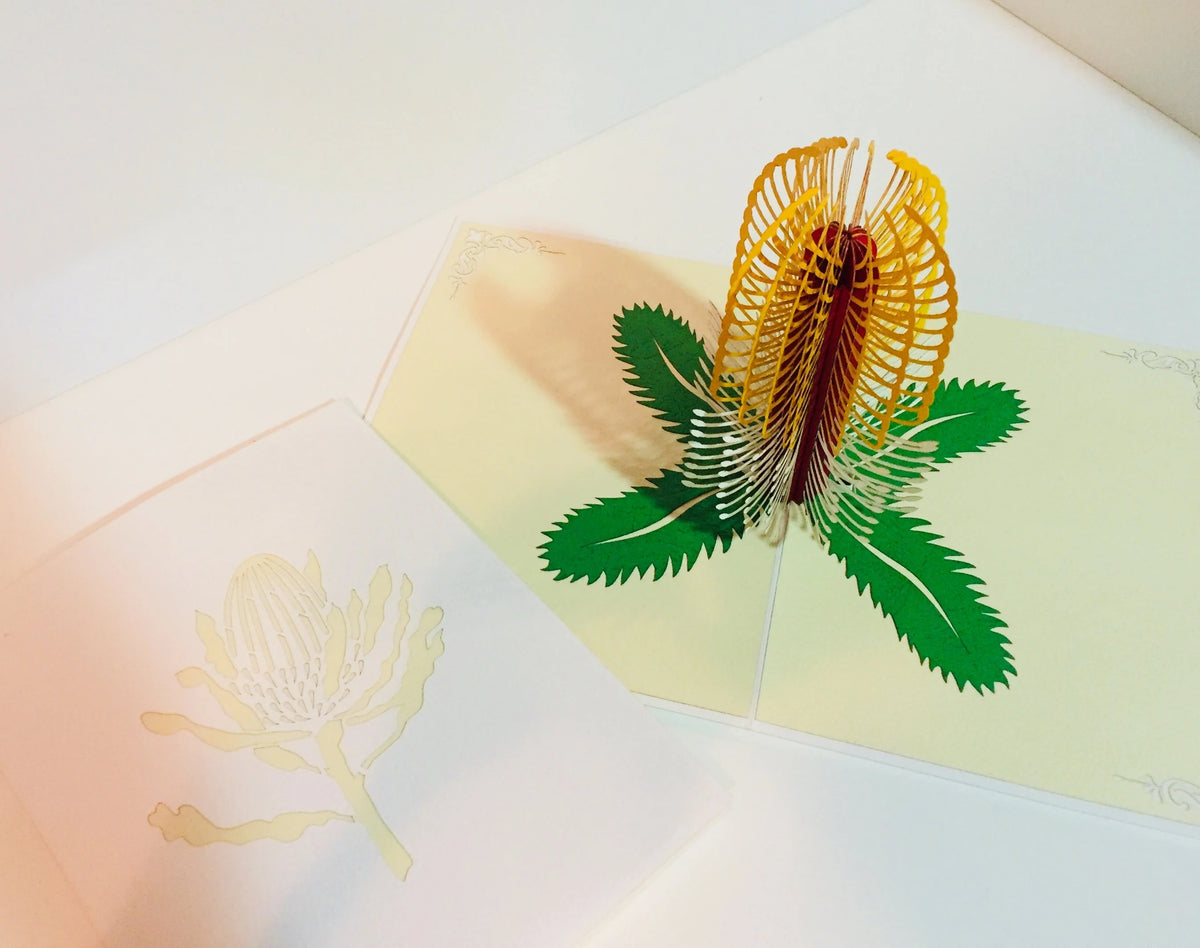 Banksia Card- Australian Native Flower in White & Yellow Created by Origami Pop Cards – 3D Pop Up Greeting Cards, Australian Design & Handmade, 3D Pop Up Magical Paper Cards Handmade Pop Up Cards Celebrate Anniversary Memorable