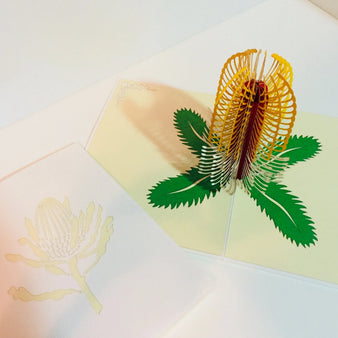 Banksia Card- Australian Native Flower in White & Yellow Created by Origami Pop Cards – 3D Pop Up Greeting Cards, Australian Design & Handmade, 3D Pop Up Magical Paper Cards Handmade Pop Up Cards Celebrate Anniversary Memorable