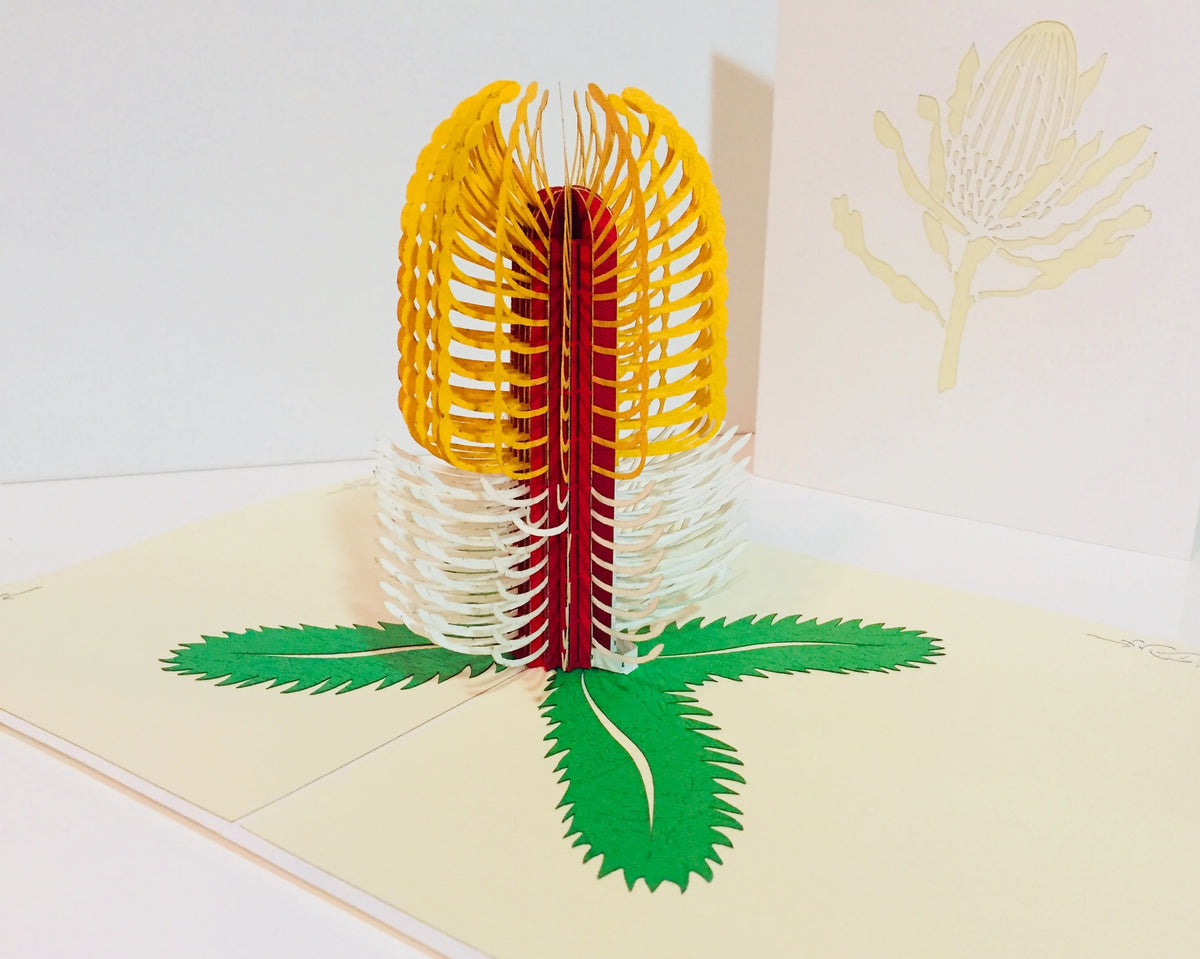 Banksia Card- Australian Native Flower in White & Yellow Created by Origami Pop Cards – 3D Pop Up Greeting Cards, Australian Design & Handmade, 3D Pop Up Magical Paper Cards Handmade Pop Up Cards Celebrate Anniversary Memorable