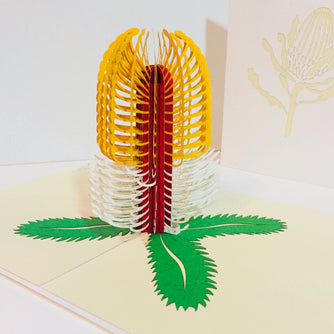 Banksia Card- Australian Native Flower in White & Yellow Created by Origami Pop Cards – 3D Pop Up Greeting Cards, Australian Design & Handmade, 3D Pop Up Magical Paper Cards Handmade Pop Up Cards Celebrate Anniversary Memorable