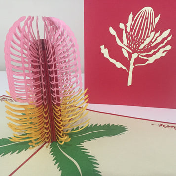Banksia - Australian Native Flower in Pink Created by Origami Pop Cards – 3D Pop Up Greeting Cards, Australian Design & Handmade, 3D Pop Up Magical Paper Cards Handmade Pop Up Cards Celebrate Anniversary Memorable