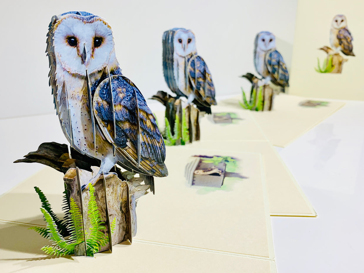 Barn Owl Bird Origami Pop Cards 3D Pop Up Greeting Card Happy Birthday Thank You Handmade Gift Thinking of You Blank Card for Any Occasion Happy Mother's Day Happy Father's Australiana Birds