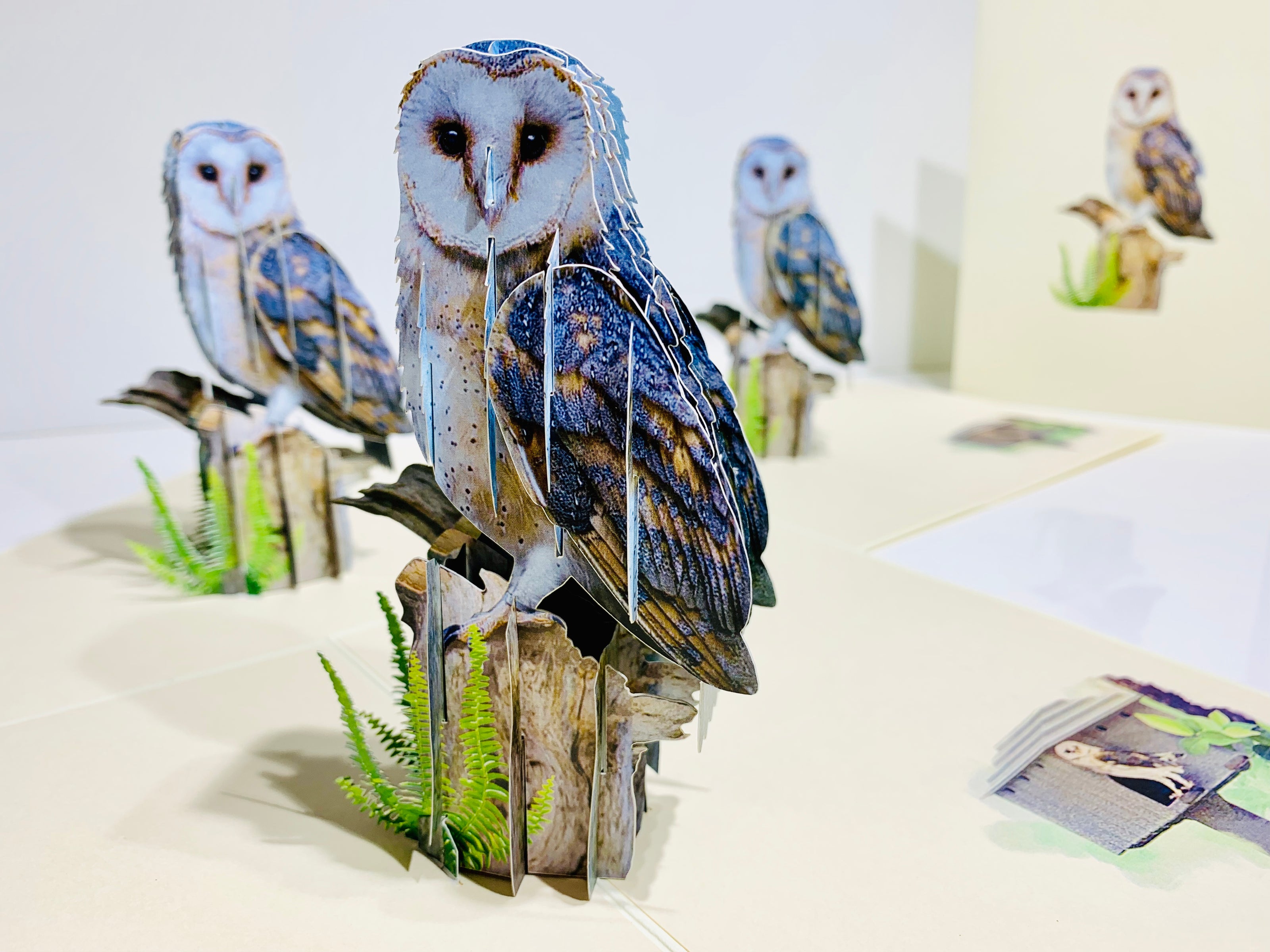 Barn Owl Bird Origami Pop Cards 3D Pop Up Greeting Card Happy Birthday Thank You Handmade Gift Thinking of You Blank Card for Any Occasion Happy Mother's Day Happy Father's Australiana Birds
